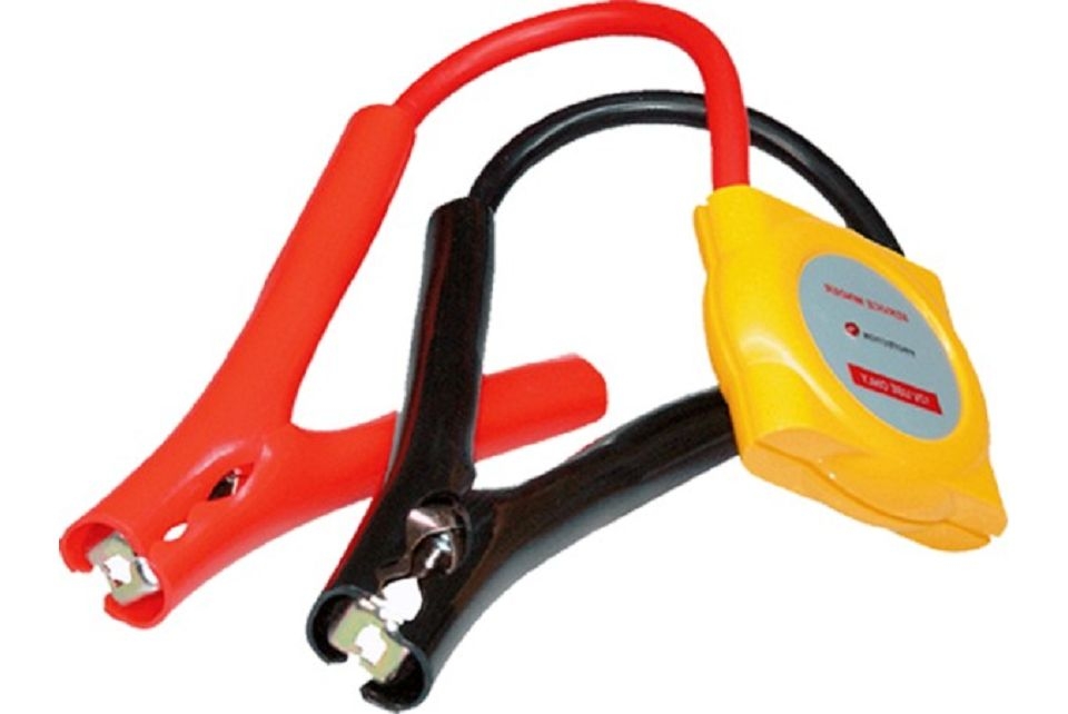 Auto Electronic Protection Device - 12 Volt