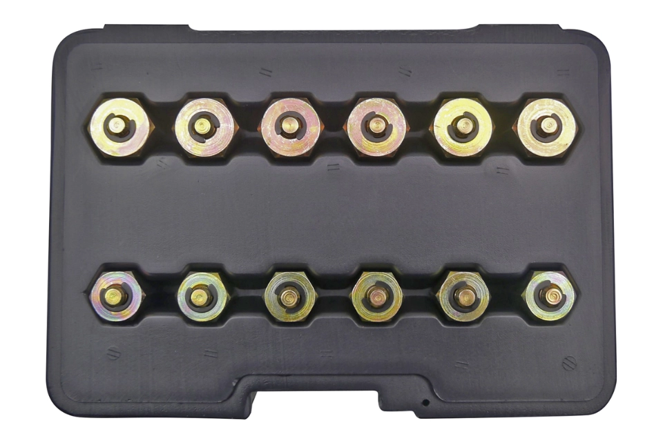 Cap Nut Set 12 Pieces
