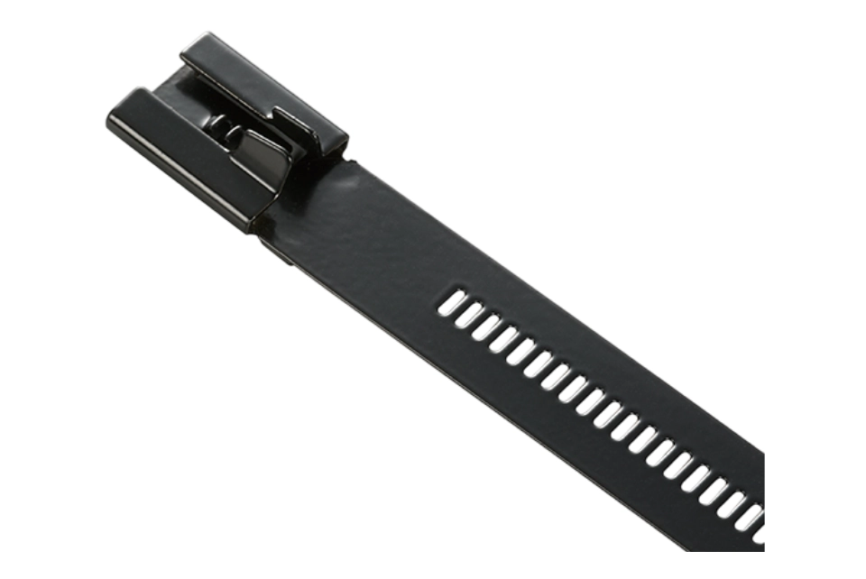 Ladder 316SS Cable Tie